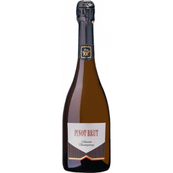 Sekt Pinot Brut 19