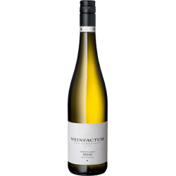 Lemberger Spätlese 22 - Fels