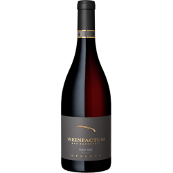 Pinot Noir QbA trocken 21 -...