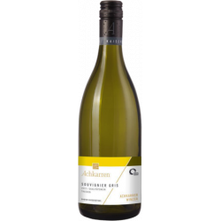 Souvignier Gris QbA trocken 23