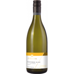 Sauvignon Blanc QbA trocken 23